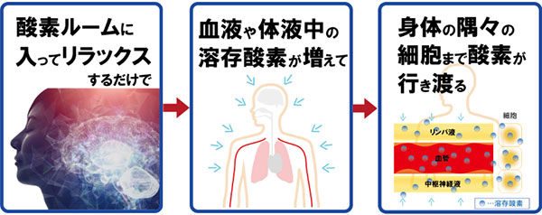 酸素ルームに入ってリラックスするだけで血液や体液中の溶存酸素が増えて身体の隅々の細胞まで酸素がいきわたる
